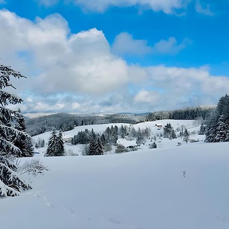 Appartamento Schwarzwald Nescht Triberg Triberg im Schwarzwald Esterno foto