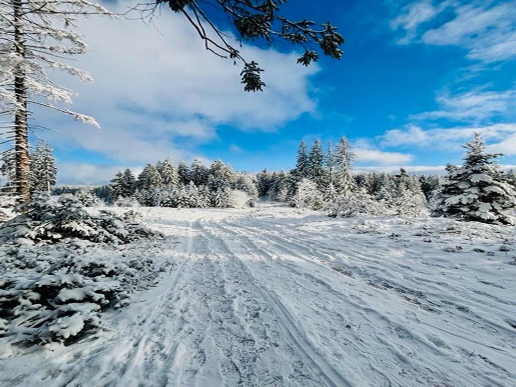 Appartamento Schwarzwald Nescht Triberg Triberg im Schwarzwald Esterno foto