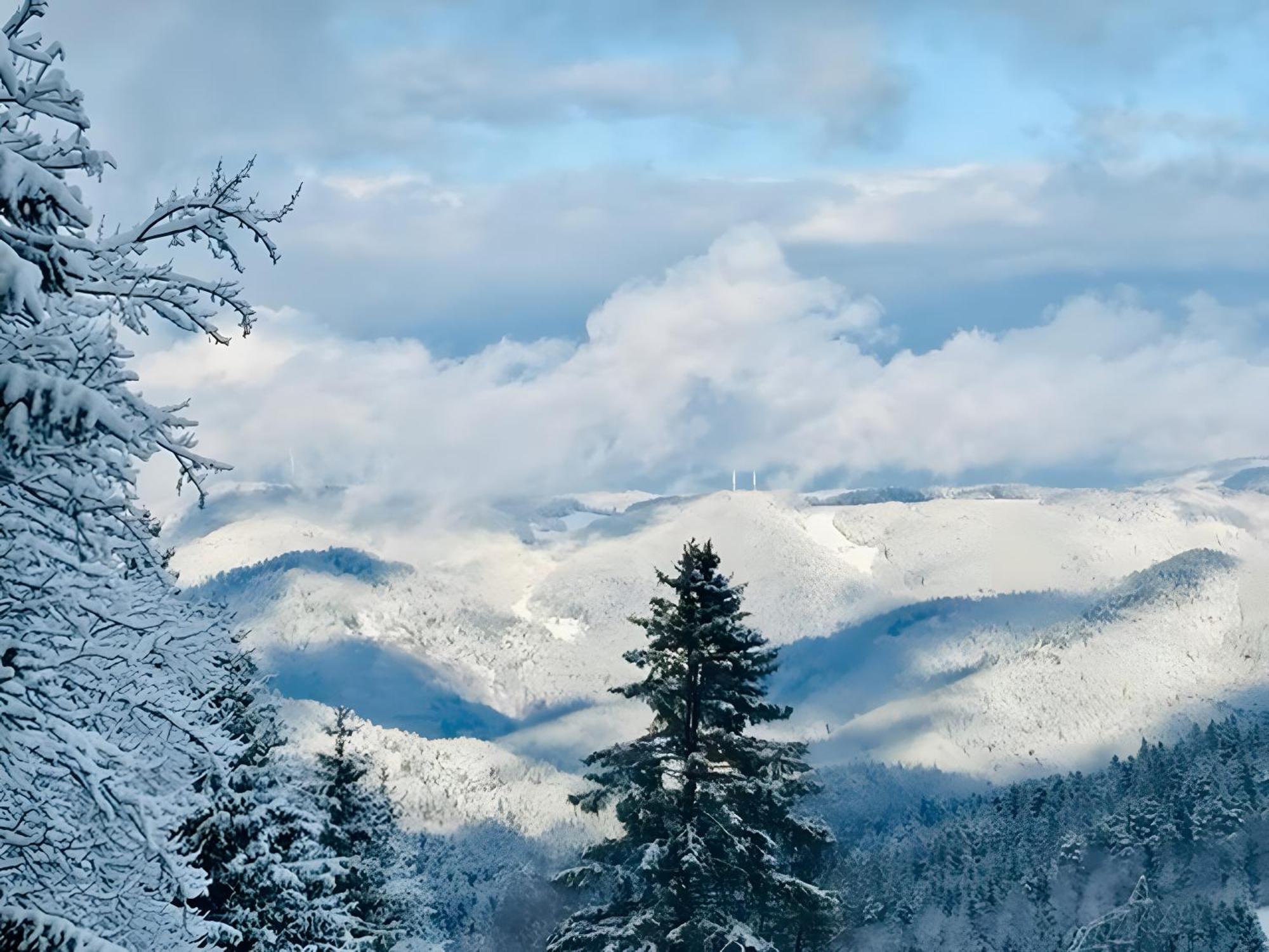 Appartamento Schwarzwald Nescht Triberg Triberg im Schwarzwald Esterno foto